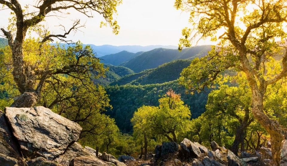 Massif des Maures Massif des Maures proche de la villa sainte maxime
